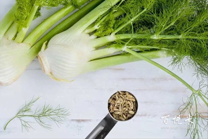 為什么要用金酒為基酒來調(diào)雞尾酒？那是因?yàn)榻鹁朴羞@些原料